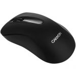 Мишка CANYON CNE-CMSW2 Wireless